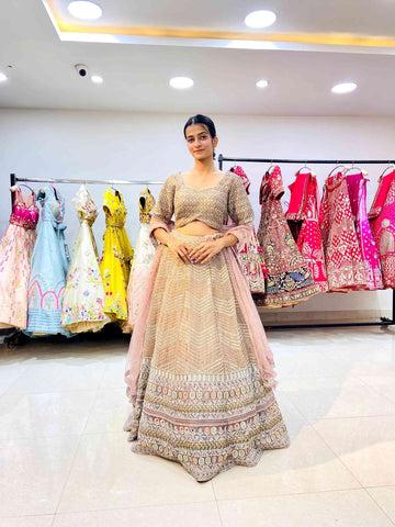 Latest Lehenga Designs 2024 For Wedding In Multicolour